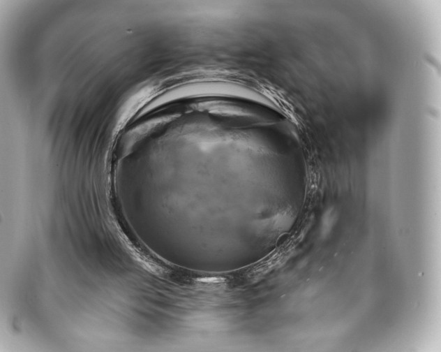 X0000094210053200710261218