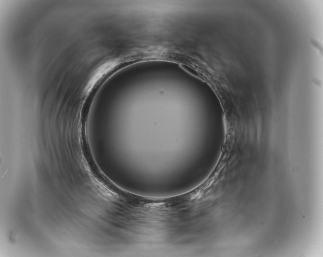 X0000094210054200710261218