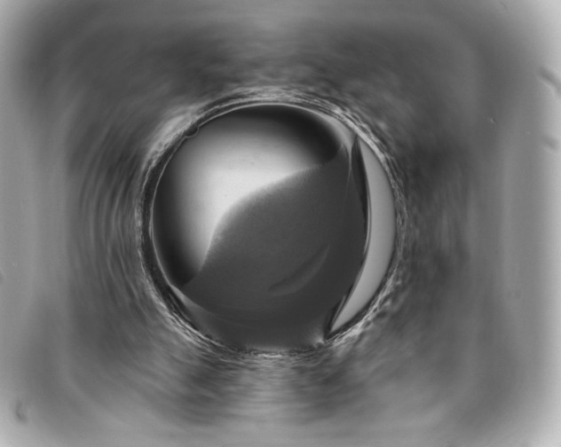 X0000094210055200710261218