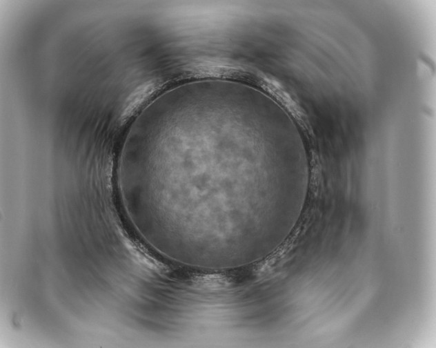 X0000094210058200710261218