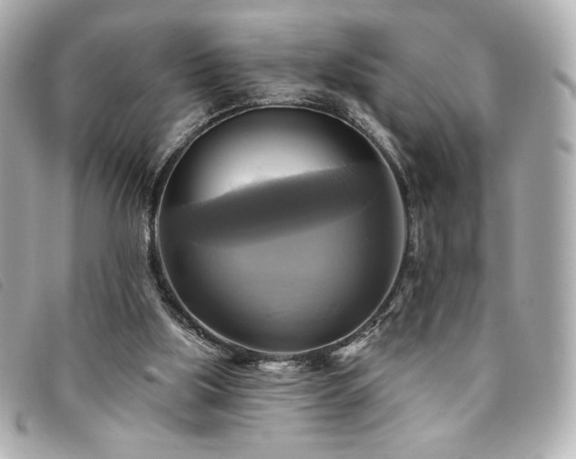 X0000094210059200710261218