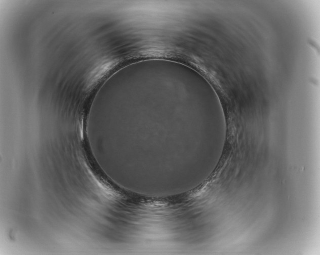 X0000094210062200710261219