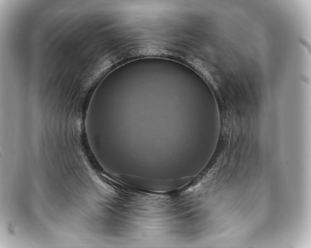 X0000094210063200710261219