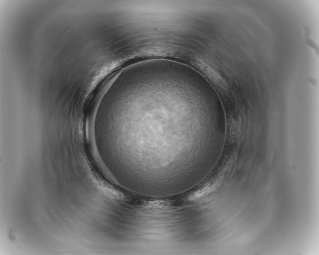 X0000094210064200710261219