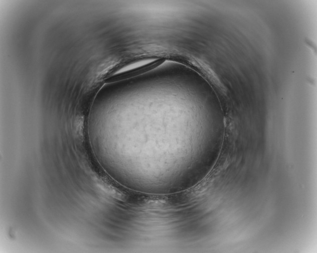 X0000094210066200710261219