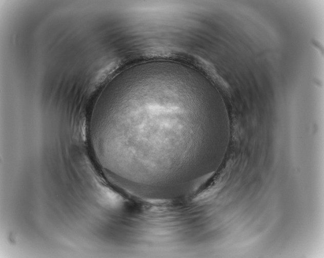 X0000094210068200710261219