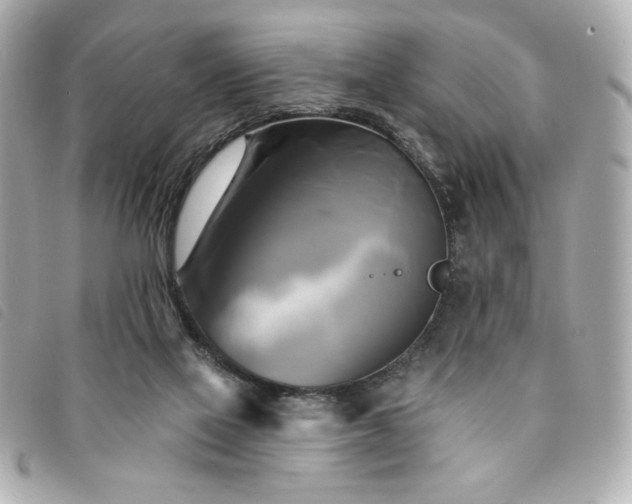 X0000094210069200710261219