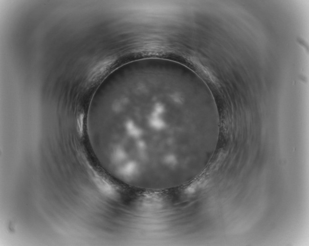 X0000094210070200710261219