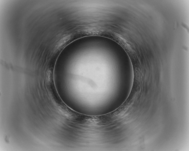 X0000094210071200710261219