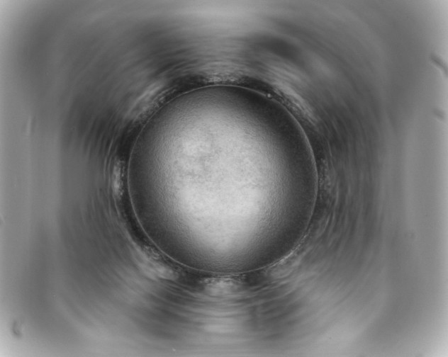 X0000094210074200710261219