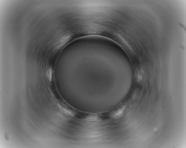 X0000094210076200710261219