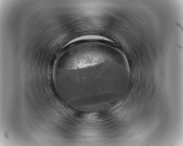 X0000094210078200710261219