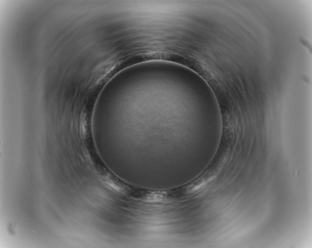 X0000094210080200710261219