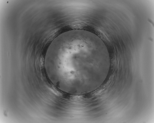 X0000094210081200710261219