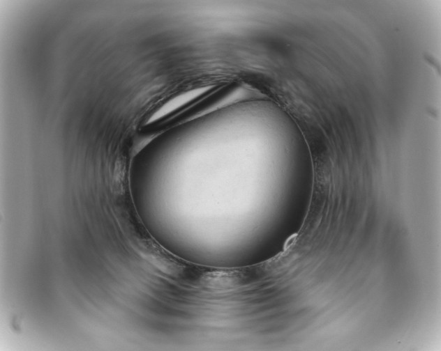 X0000094210082200710261219