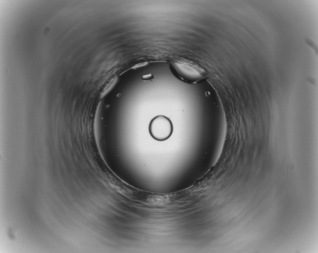 X0000094210084200710261219