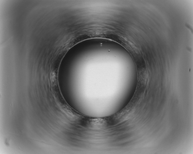 X0000094210087200710261219