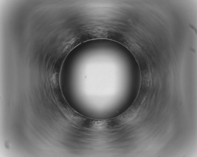 X0000094210088200710261219
