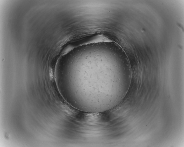 X0000094210089200710261219