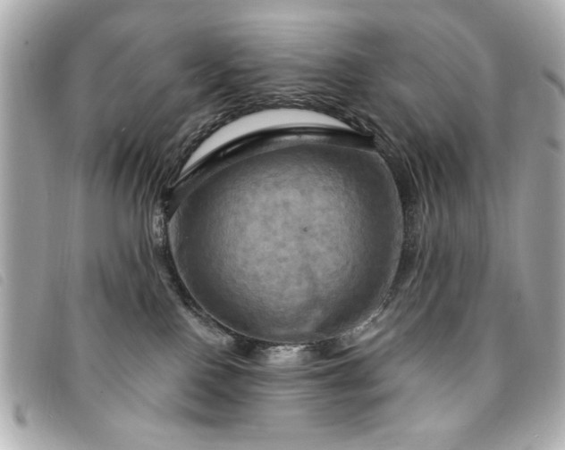 X0000094210090200710261219