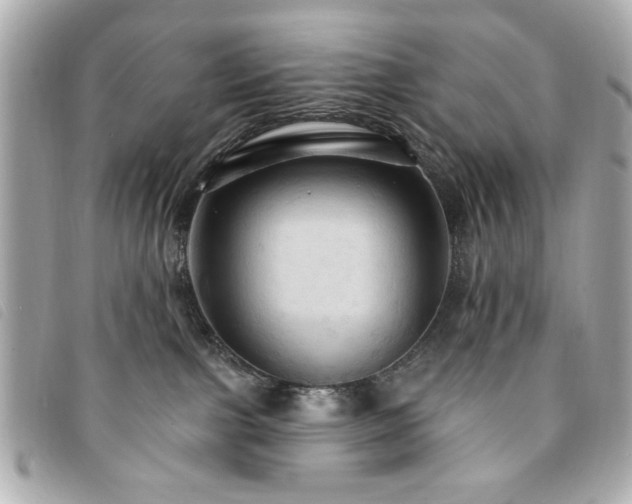 X0000094210091200710261219