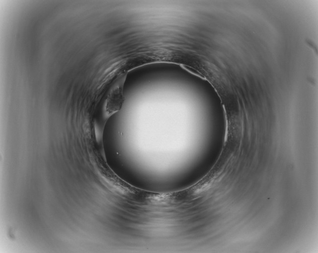 X0000094210092200710261219