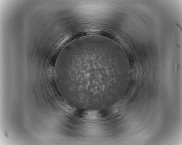 X0000094210093200710261219
