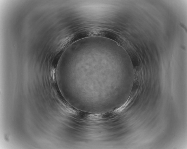 X0000094210094200710261219
