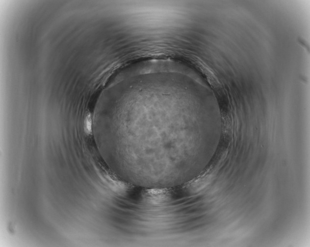 X0000094210095200710261219