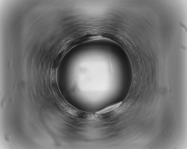 X0000094210096200710261219