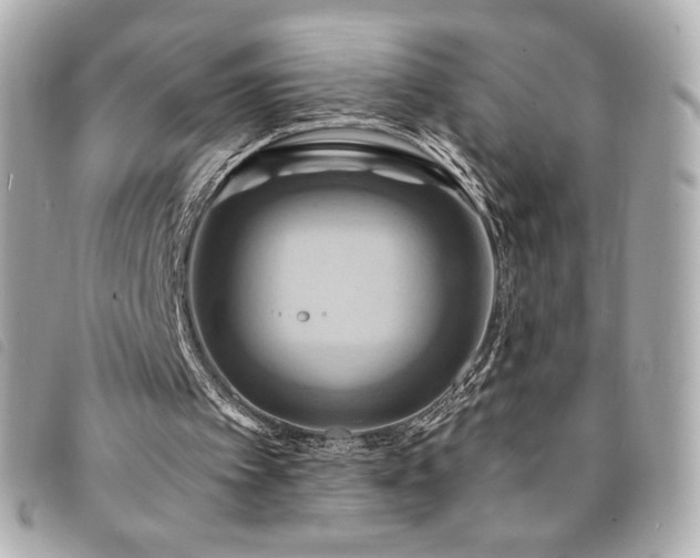 X0000094210097200710261218