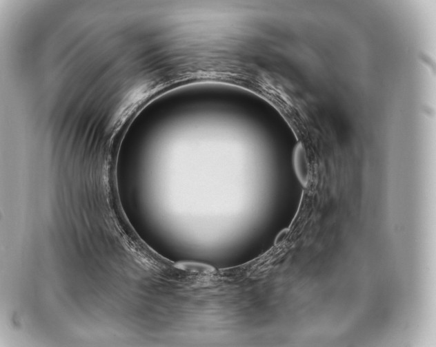 X0000094210098200710261218