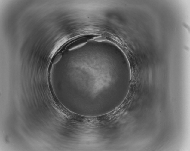 X0000094210099200710261218