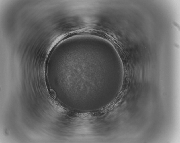 X0000094210100200710261218