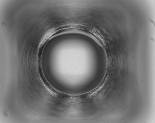 X0000094210101200710261218