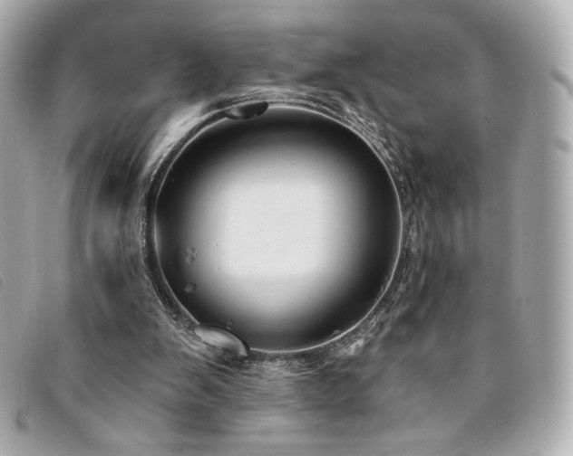 X0000094210103200710261218