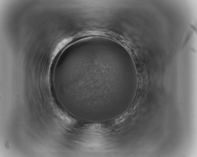 X0000094210104200710261218