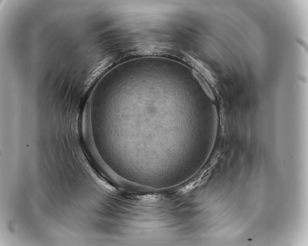 X0000094210105200710261218