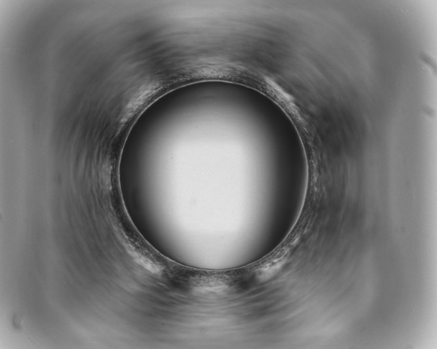 X0000094210106200710261218