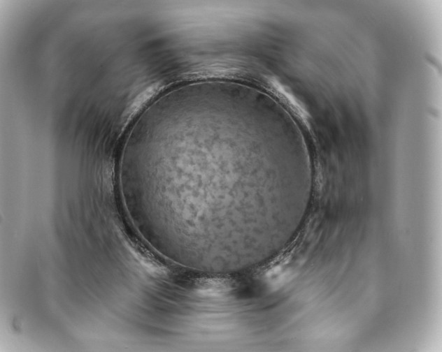X0000094210107200710261218