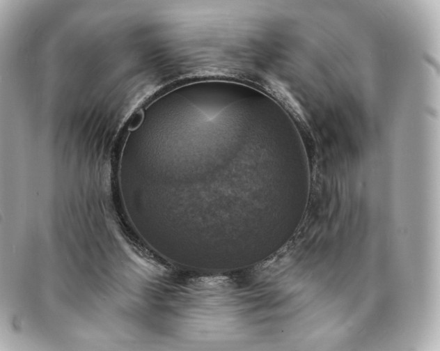 X0000094210108200710261218
