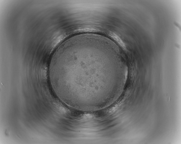 X0000094210111200710261218