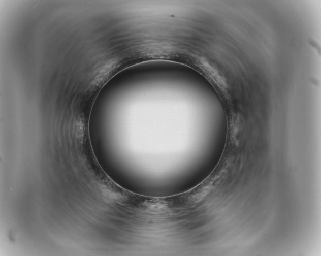 X0000094210113200710261218