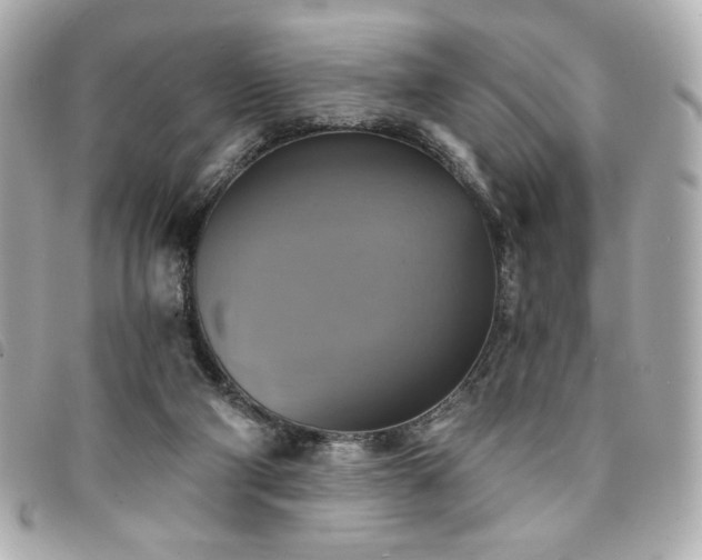 X0000094210114200710261218