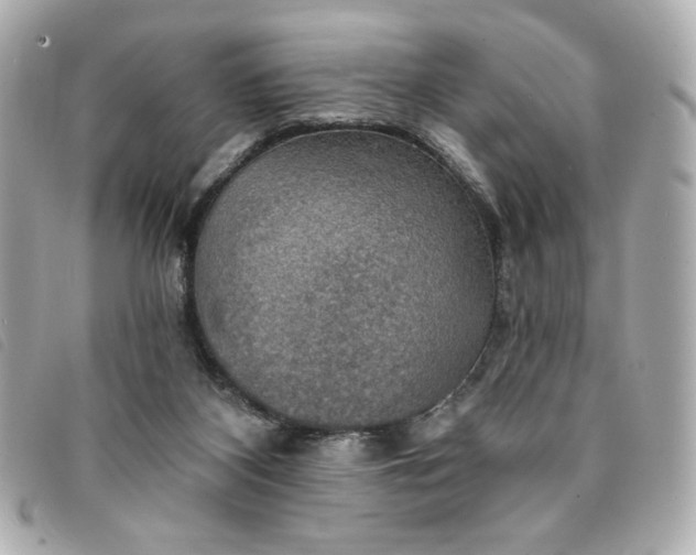 X0000094210116200710261218
