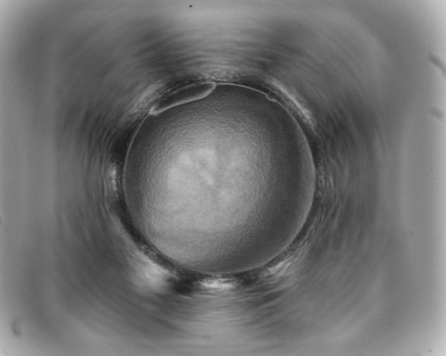 X0000094210117200710261218