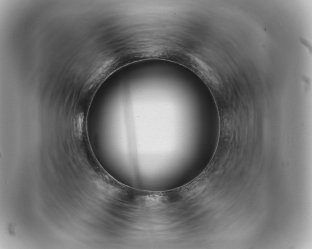 X0000094210118200710261218