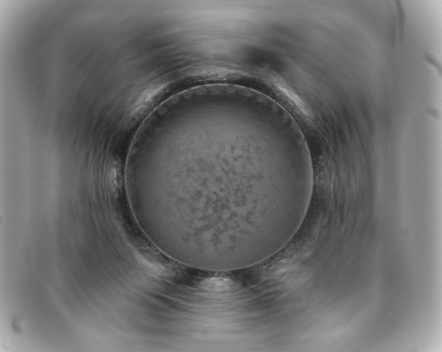 X0000094210119200710261218