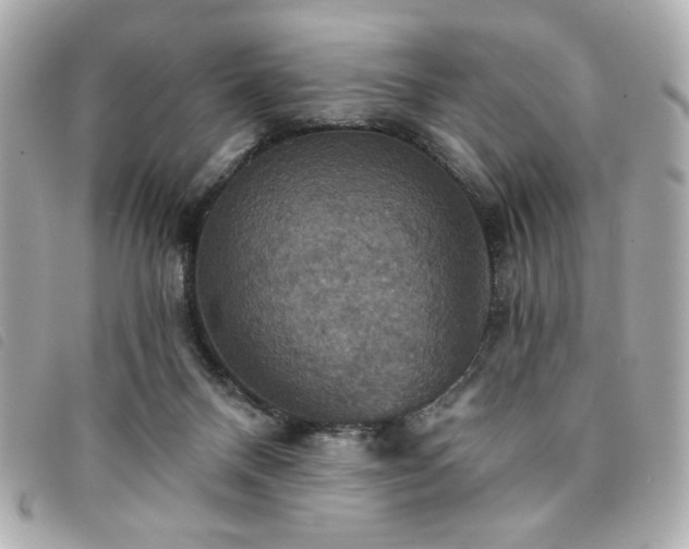 X0000094210120200710261218