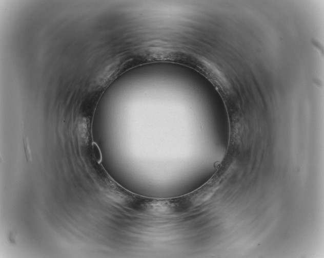 X0000094210121200710261218